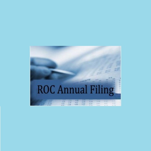 ROC E Filing (Registrar of Companies)